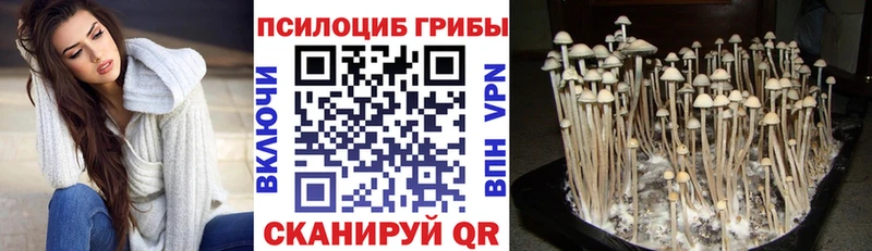 Псилоцибиновые грибы GOLDEN TEACHER  гидра сайт  Нальчик 